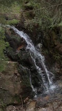 Karkonosze Ulusal Parkı 'nda Resim Şelalesi - Polonya Dağ Sahnesi