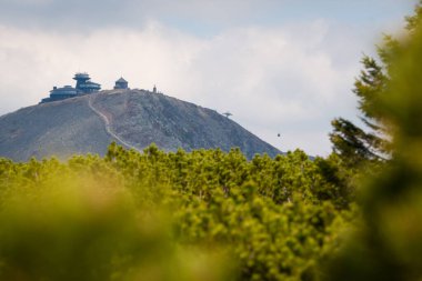 Polonya 'daki Karkonosze Ulusal Parkı' ndaki ağaçlar tarafından çerçevelenmiş Sniezka zirvesi manzarası.