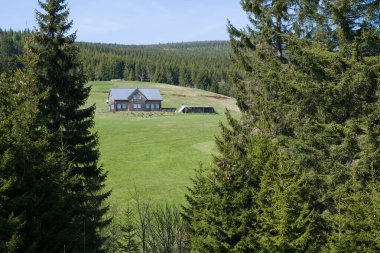 Ağaçlar arasında büyüleyici bir Avrupa ahşap evi.