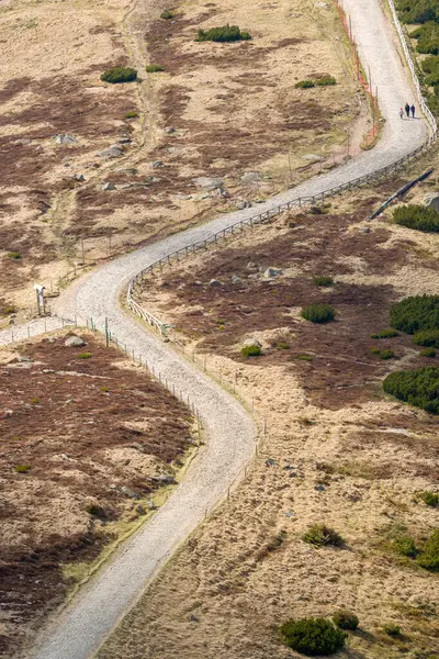 Polonya 'daki Karkonosze Ulusal Parkı' nda Sniezka 'ya uzanan dolambaçlı bir dağ yolu var..