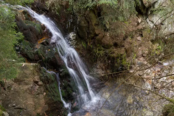 Ormandaki yosunlu kayaların üzerinden geçen bir şelalenin güzel uzun pozlama sahnesi. Huzurlu bir atmosferi var..