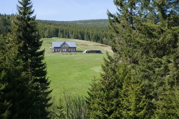 Ağaçlar arasında büyüleyici bir Avrupa ahşap evi.