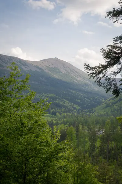 Polonya 'nın Karkonosze Dağları' nın (Dev Dağlar) en yüksek zirvesi olan Sniezka 'nın manzarası, Krucze Skaly bakış açısından görülmektedir.. 