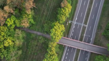 Günbatımında Ormandaki Otoyol üzerindeki Köprü 'nün Havadan Yukarıdan Aşağı Görünümü