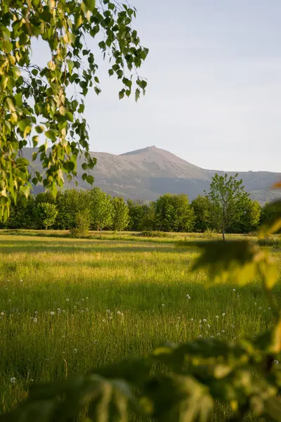 Ağacın tepesinde Sniezka 'nın manzarası.