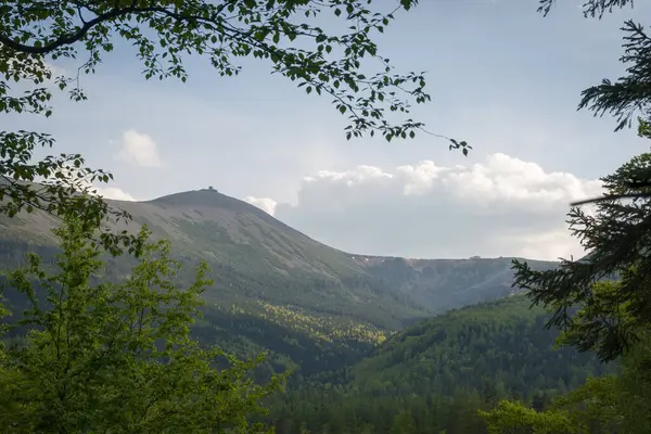 Polonya 'nın Karkonosze Dağları' nın (Dev Dağlar) en yüksek zirvesi olan Sniezka 'nın manzarası, Krucze Skaly bakış açısından görülmektedir.. 