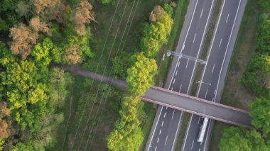 Günbatımında Ormandaki Otoyol üzerindeki Köprü 'nün Havadan Yukarıdan Aşağı Görünümü