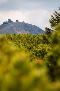 Polonya 'daki Karkonosze Ulusal Parkı' ndaki ağaçlar tarafından çerçevelenmiş Sniezka zirvesi manzarası.