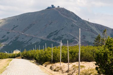 Polonya 'daki Karkonosze Ulusal Parkı' ndaki Sniezka tepesine giden kaldırım taşı yolu..