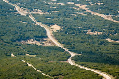 Polonya 'daki Karkonosze Ulusal Parkı' ndaki yürüyüş yolu ağının yemyeşil bir dağ manzarasında dolaştığı yüksek açılı bir manzara..