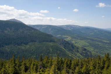 Ormanın tepesinden manzara dağlara bakıyor..