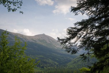 Polonya 'nın Karkonosze Dağları' nın (Dev Dağlar) en yüksek zirvesi olan Sniezka 'nın manzarası, Krucze Skaly bakış açısından görülmektedir.. 