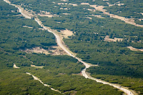 Polonya 'daki Karkonosze Ulusal Parkı' ndaki yürüyüş yolu ağının yemyeşil bir dağ manzarasında dolaştığı yüksek açılı bir manzara..