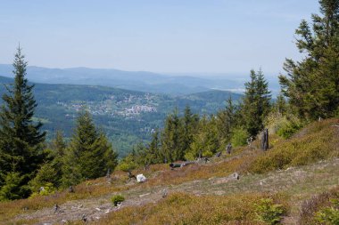 Dağdan Karpacz 'a bak, çerçevesinde çam ağaçları var..