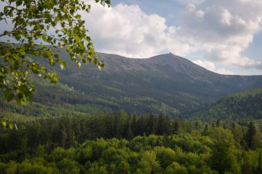 Polonya 'nın Karkonosze Dağları' nın (Dev Dağlar) en yüksek zirvesi olan Sniezka 'nın manzarası, Krucze Skaly bakış açısından görülmektedir.. 