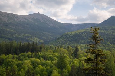 Polonya 'nın Karkonosze Dağları' nın (Dev Dağlar) en yüksek zirvesi olan Sniezka 'nın manzarası, Krucze Skaly bakış açısından görülmektedir.. 
