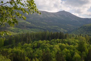 Polonya 'nın Karkonosze Dağları' nın (Dev Dağlar) en yüksek zirvesi olan Sniezka 'nın manzarası, Krucze Skaly bakış açısından görülmektedir.. 