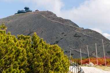 Polonya 'daki Karkonosze Milli Parkı' ndaki Sniezka zirvesi zirveye ve çit direklerine giden yolu gösteriyor..