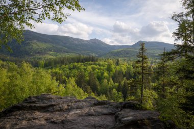 Polonya 'nın Karkonosze Dağları' nın (Dev Dağlar) en yüksek zirvesi olan Sniezka 'nın manzarası, Krucze Skaly bakış açısından görülmektedir.. 