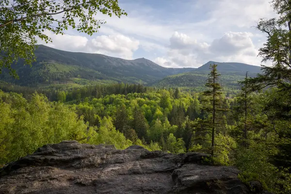 Polonya 'nın Karkonosze Dağları' nın (Dev Dağlar) en yüksek zirvesi olan Sniezka 'nın manzarası, Krucze Skaly bakış açısından görülmektedir.. 