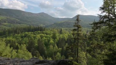 Sniezka Dağı Gözlemevi, Karkonosze Ulusal Parkı, Polonya