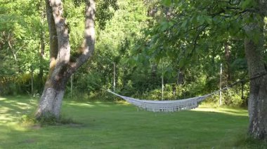 A white woven hammock is strung between two trees on a lush green lawn in a peaceful backyard garden. The tranquil scene on a sunny summer day is an invitation to relax and unwind.