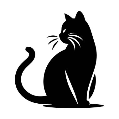 Gölgedeki Zarif Kedi