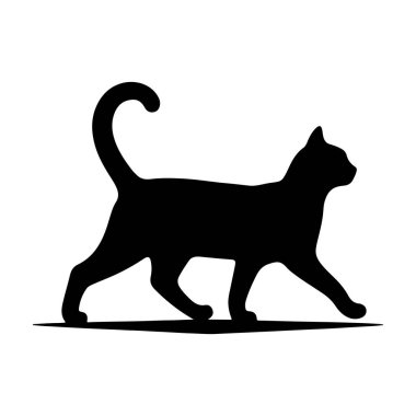 Kedi Siluetinin Gizemi