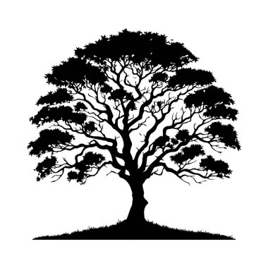 Whimsical Forest Tree Silhouette Collection clipart