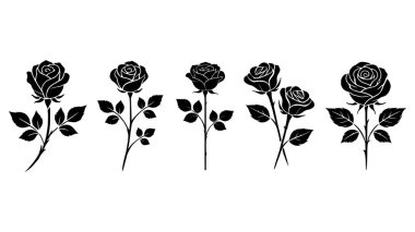 Süslü gül ve yaprak seti. Çiçek siluetleri. Vektör illüstrasyonu.