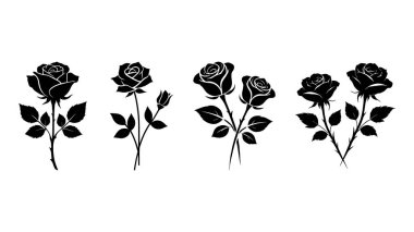 Süslü gül ve yaprak seti. Çiçek siluetleri. Vektör illüstrasyonu.