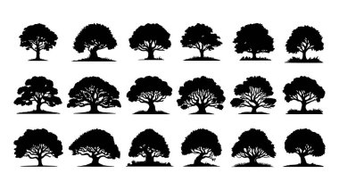 ağaç siluet simgesi seti, vektör illüstrasyonu