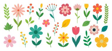 Güzel romantik çiçek ve yaprak koleksiyonu, çiçek buketi, zarif çiçek kompozisyonları.