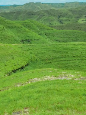 Yeşil çayırları olan yeşil bir vadi Tepeleri ve dağları olan yeşil çimenler