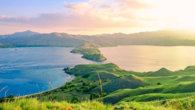 Endonezya 'daki Gili Lawa, Komodo Ulusal Parkı' nda deniz kıyısına çıkan uzun yeşil çimenli kayalıklar. yaz arkaplanı ve yaz tatili konsepti. 