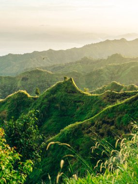 Yeşil ağaçları ve dağları olan bir tepeden güzel bir manzara.