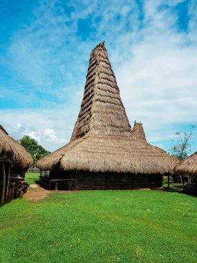 Köydeki geleneksel sumba evi.