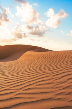 Çöldeki güzel kumullar