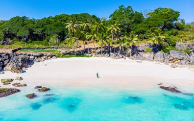 Beyaz kum, mavi su ve palmiye ağaçlarıyla tropik sahil manzarası