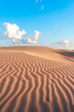 Gün ışığında çöl kum deseni. Çölün kumları izole olmuş..
