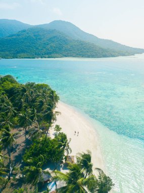 Tatil için güzel tropik deniz plajı ve hindistan cevizi palmiyesi.