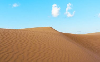 BAE 'deki Abu Dabi çölündeki turuncu kum tepelerinin doğal manzarası.