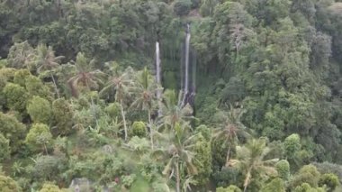 Endonezya, Sekumpul Şelale Bali 'deki vahşi orman ortamındaki güzel şelalenin manzarası..