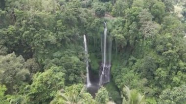 Güzel Sekumpul Şelalesi doğa arka planında. Bali, Endonezya
