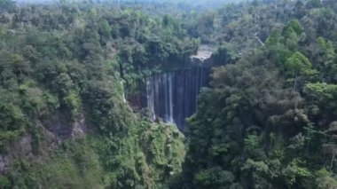 Hava manzaralı Tumpak Sewu Şelalesi Endonezya 'nın en güzel şelalesi. Java 'daki dağlar ve tepeler inanılmaz şelalelerle dolu.. 