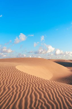 Gün ışığında çöl kum deseni. Çölün kumları izole olmuş..