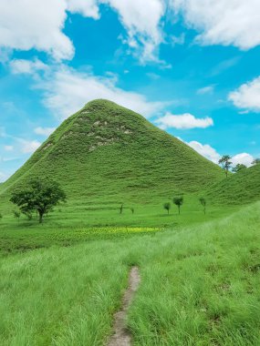 Buğday tarlası ve mavi gökyüzü olan güzel bir manzara.