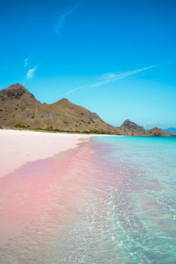 Tropik pembe kumlu sahil ve yumuşak mavi okyanus dalgası. Yaz tatili ve yaz tatili kavramı..