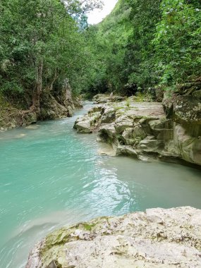 Tropikal bir ormandaki nehir ormanında şelale.