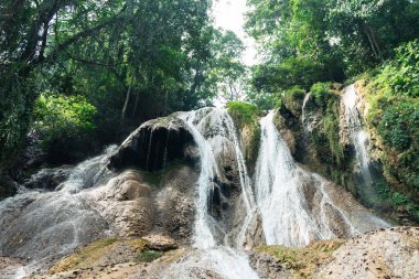 Ormanın derinliklerinde güzel bir şelale.